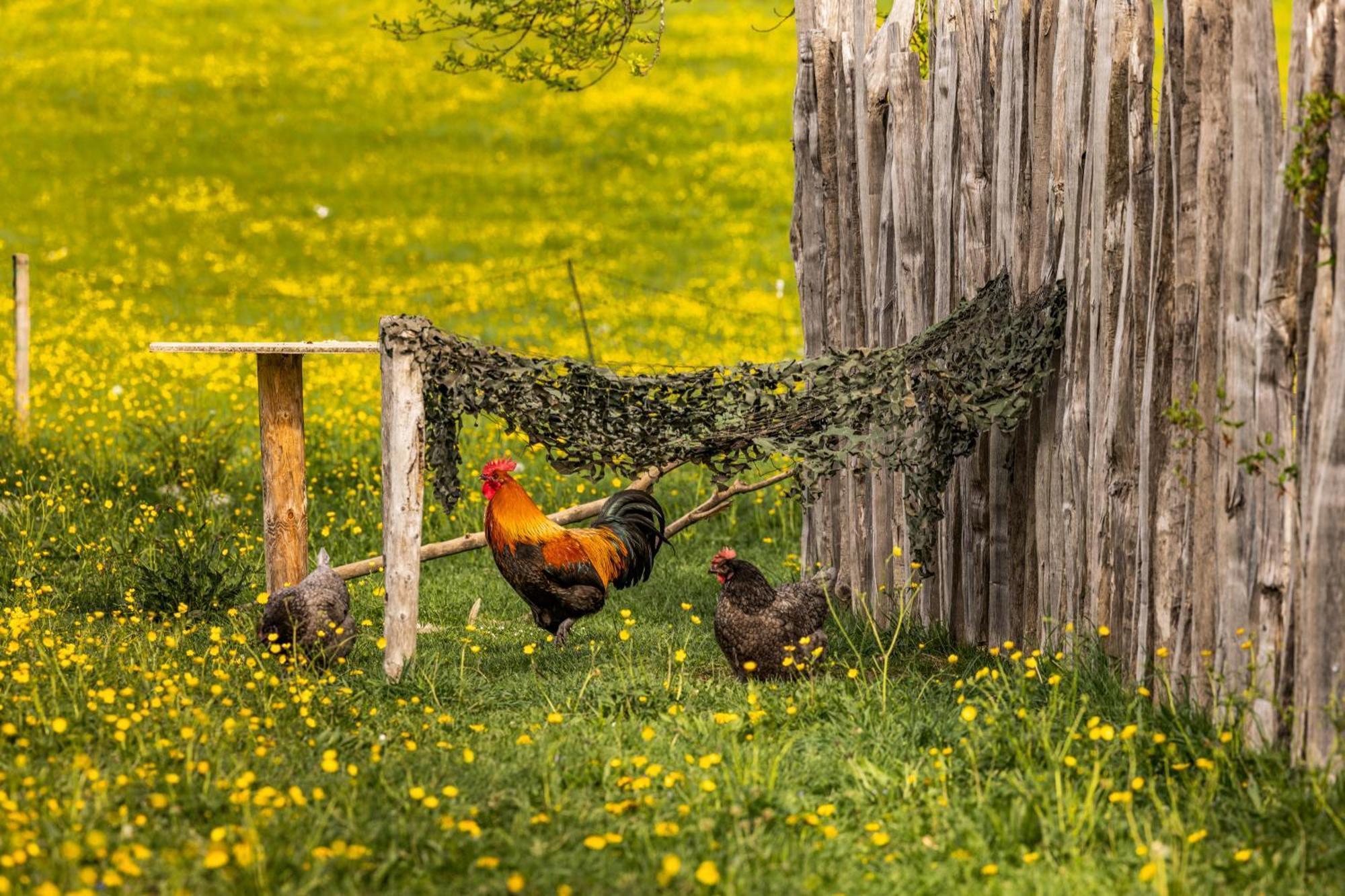 Ferienwohnungen Am Gablerhof Bad Reichenhall Exteriér fotografie